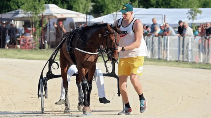 jjb-Shames:约基奇将在赛季结束后从NBA退役,转战马术赛场备战28年奥运会